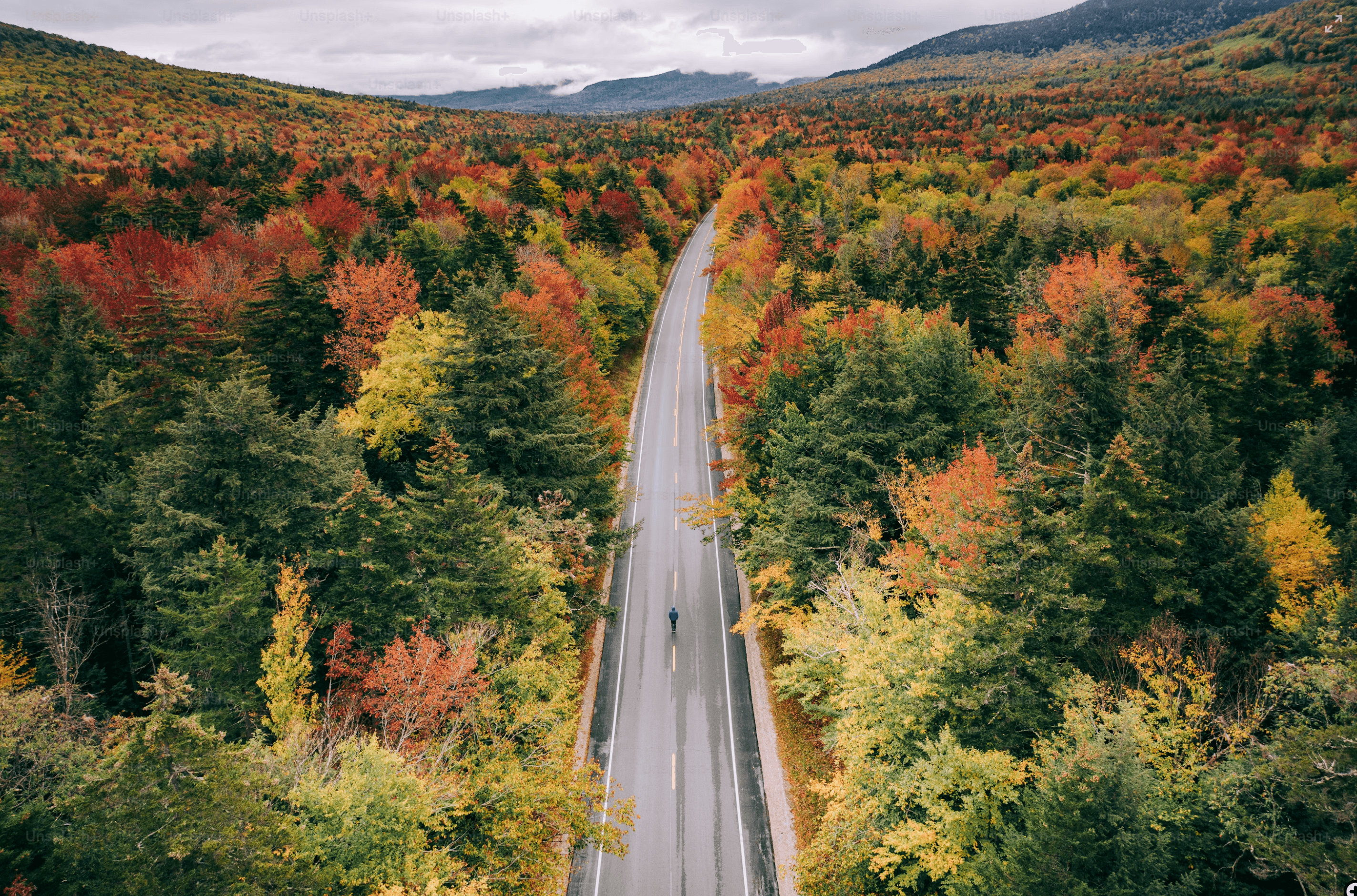 New Brunswick shoreline with autumn trees reflected in still water